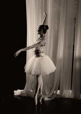 Ballet and dancing 117