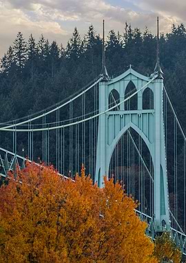 St Johns autumn wonderland