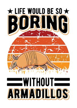 Armadillo Gift