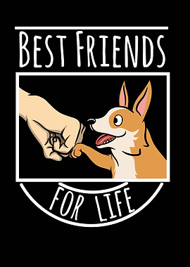 Corgi Best Friends