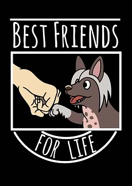 Chinese Crested Friends