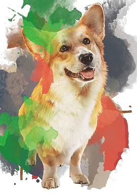 Pretty Corgi