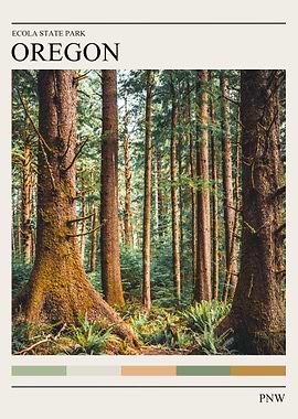 Oregon Forest Minimalist