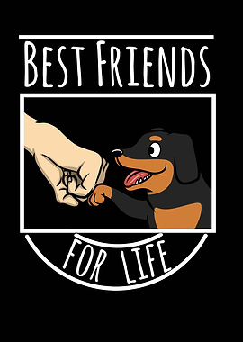 Dachshund Best Friends