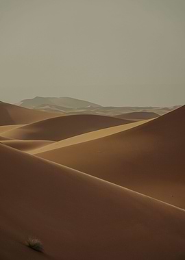 Land scape of desert