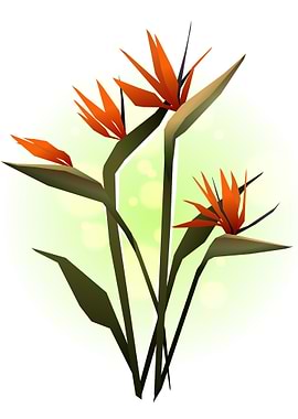 Bird of Paradise Flower