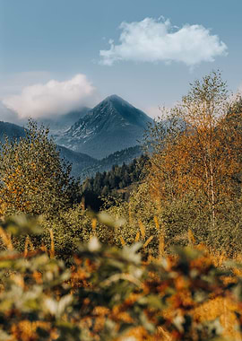 The Retezat Mountains A M