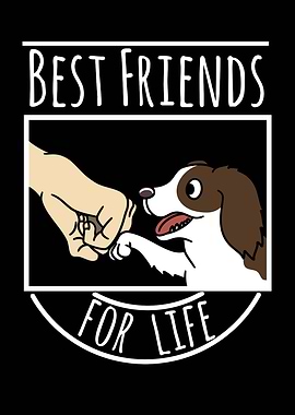 English Springer Friends