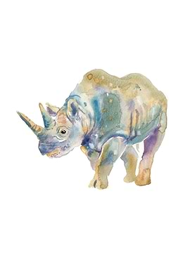 Rhino