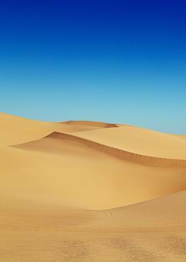 Imperial Sand Dunes