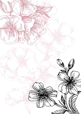 Modern Sakura flower natur