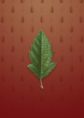 Crabapple on Falu Red