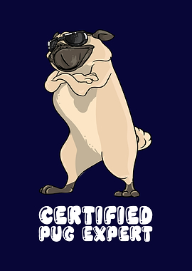 Certified Pug Expert