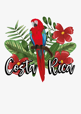 Costa Rica white Parrot