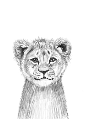 Lion Cub