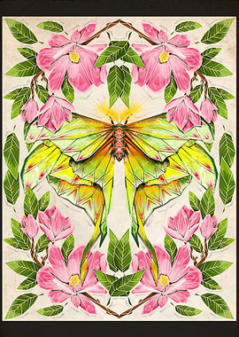 moth and magnolia