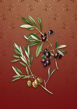 Vintage Olive on Falu Red