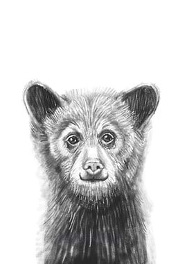 Bear Cub