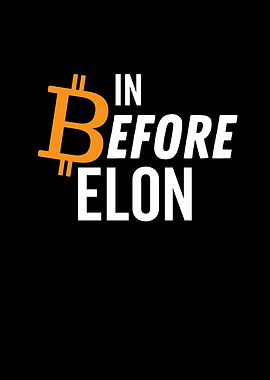 Bitcoin In Before Elon