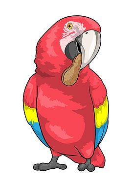 Parrot Peanut