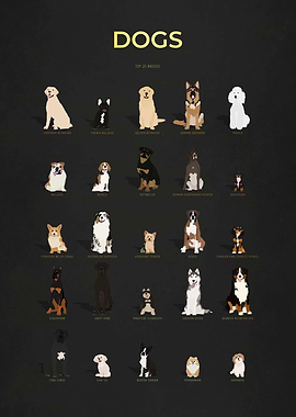 Dogs Collection Gold