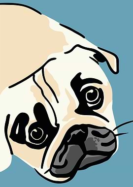 Cute Pug Portrait