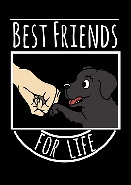 Newfoundland Dog Friends