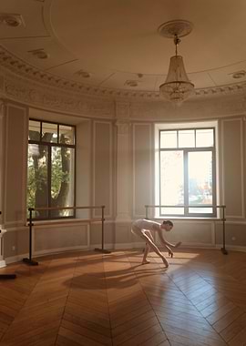 Ballet and dancing 161