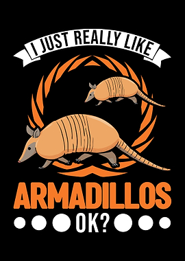 Armadillo Gift