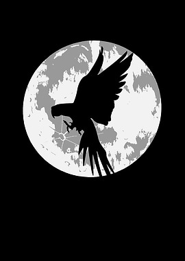 Parrot moon in the dark