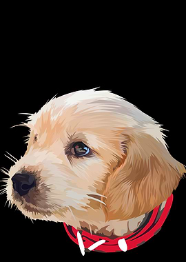 Golden retriever puppy