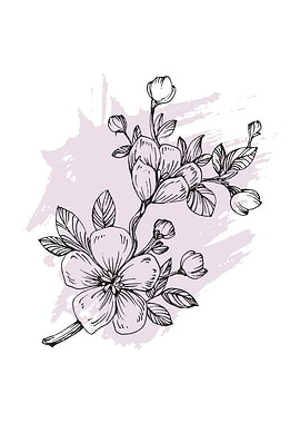 Sakura blossoms sketch