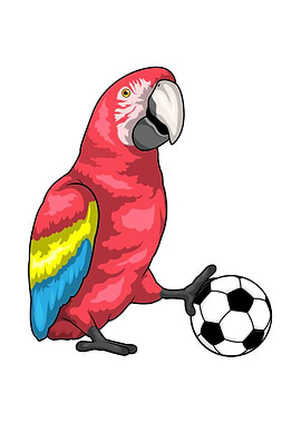 Parrot Soccer Sports