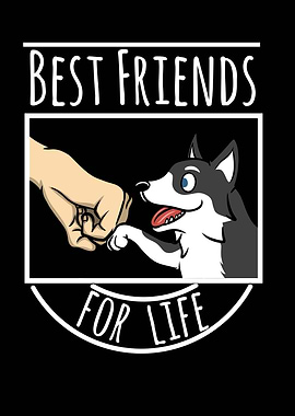 Husky Best Friends