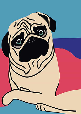 Pug Dog Portrait