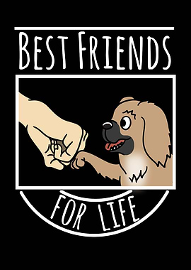 Pekingese Best Friends