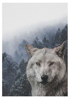 Winter wolf
