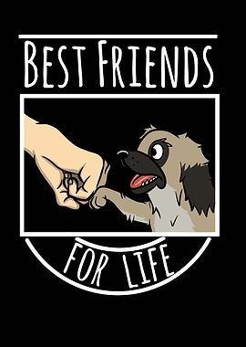 Pekingese Best Friends