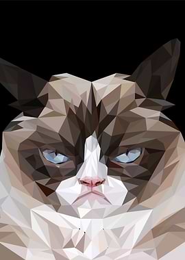 grumpy cat meme
