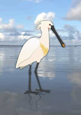 Spoonbill in the water
