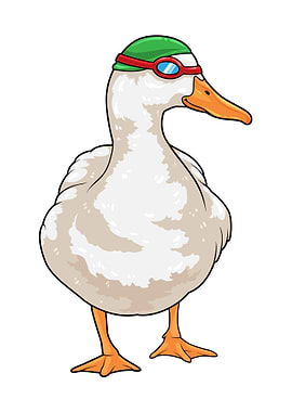 Duck Swimming Water sports