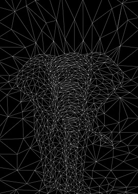 elephant low poly line