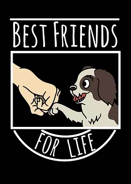 Shih Tzu Best Friends