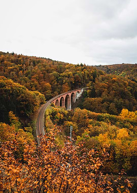 Viadukt in autumn