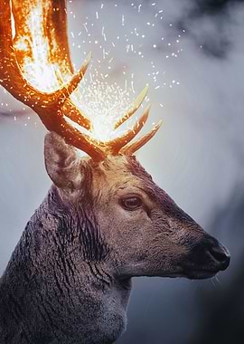 Sparkling Deer