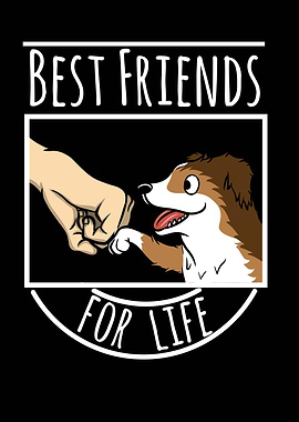 Shetland Sheepdog Friends