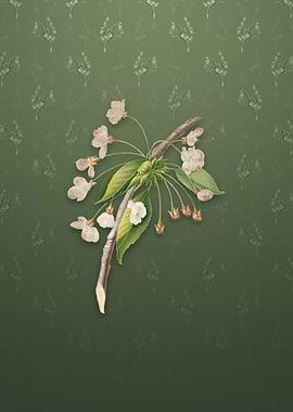 Vintage Cherry Plum Flower