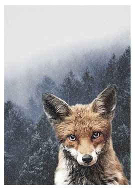 Winter fox