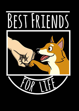 Shiba Inu Best Friends