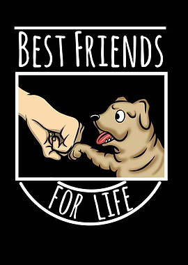 Shar Pei Best Friends